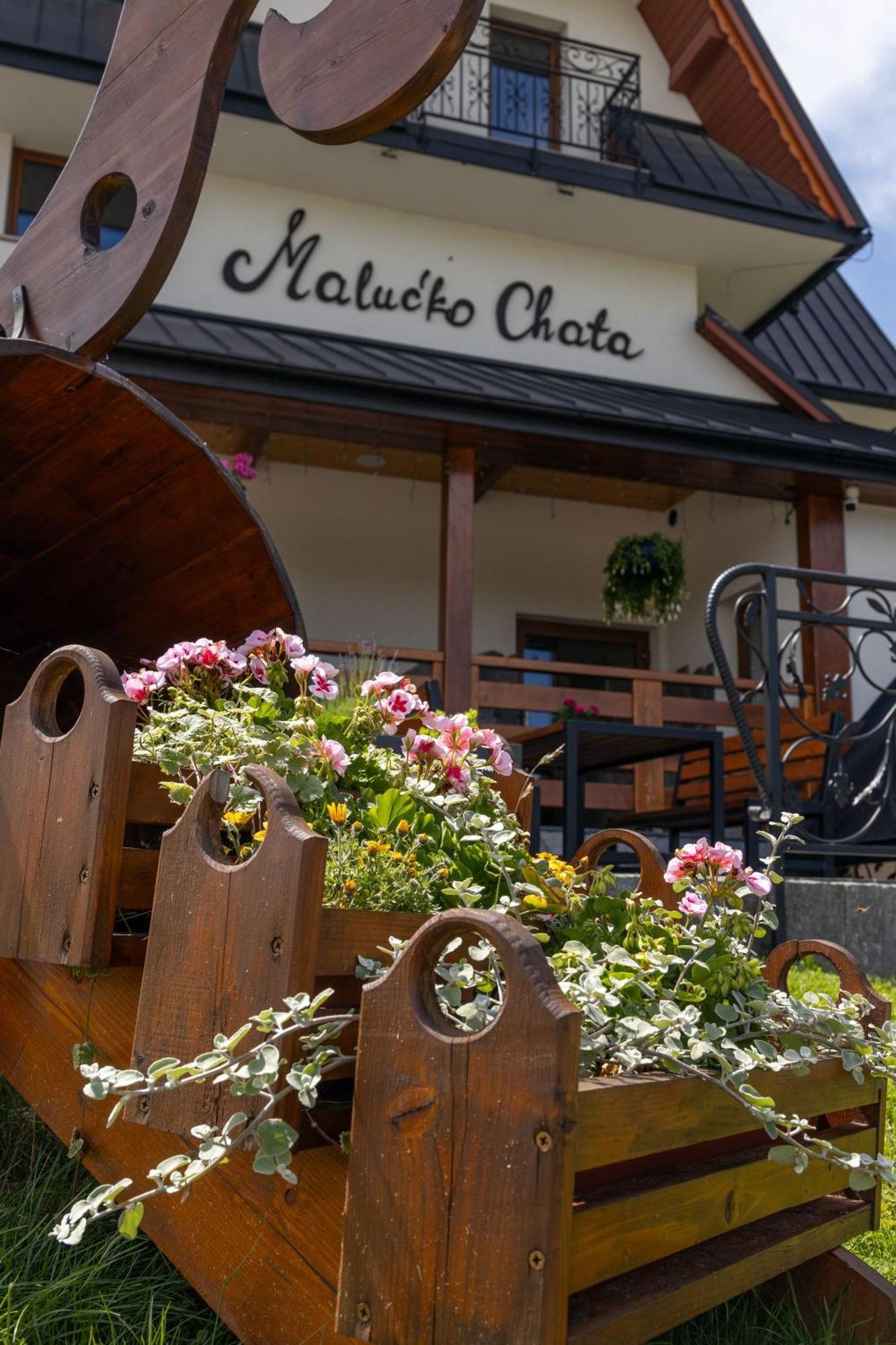 „Malucko Chata” Zakopane Exterior photo