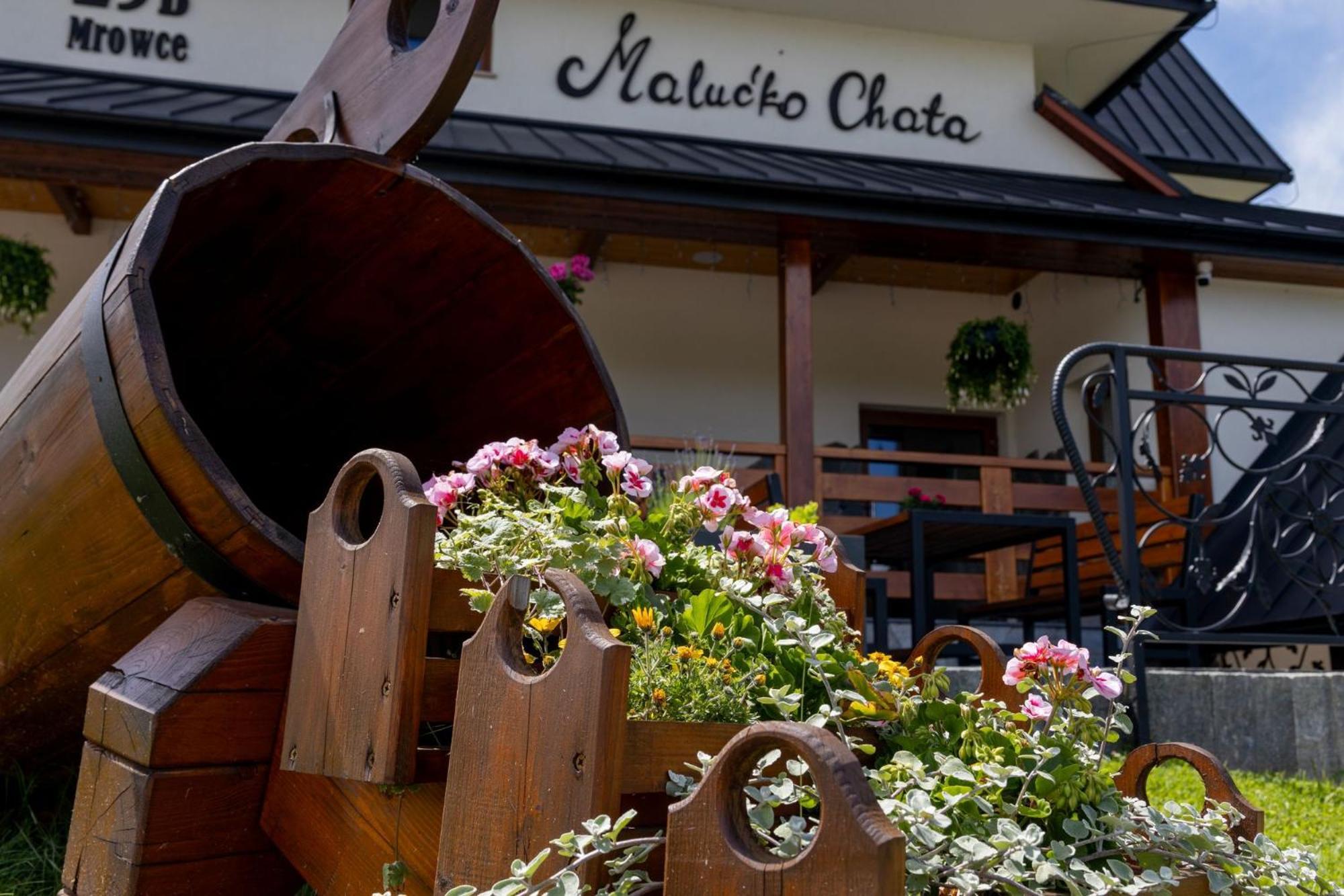 „Malucko Chata” Zakopane Exterior photo
